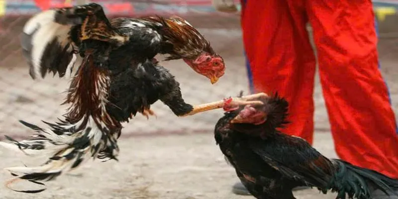 Phòng bệnh rất cần thiết