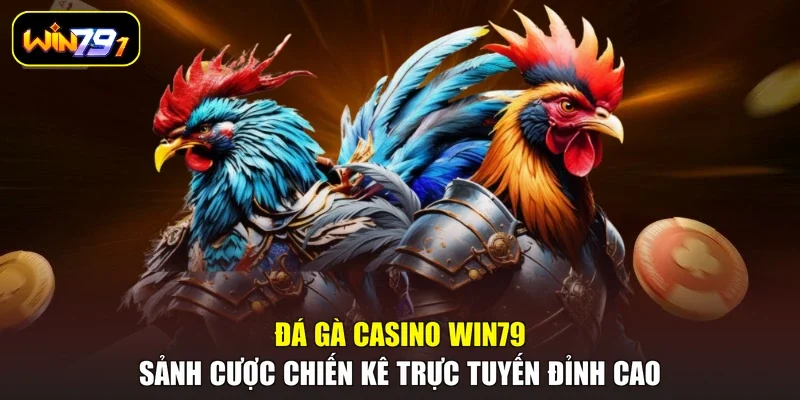 Đá Gà Casino WIN79 - Sảnh Cược Chiến Kê Trực Tuyến Đỉnh Cao   