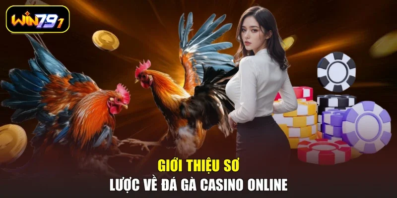 Giới thiệu sơ lược về đá gà casino online