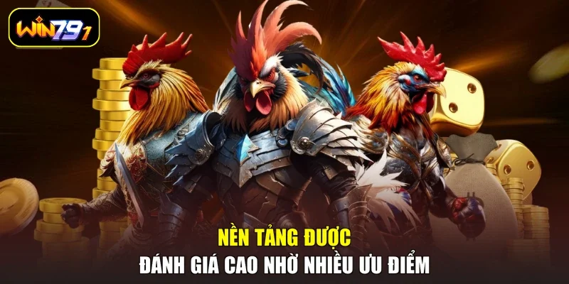 Nền tảng được đánh giá cao nhờ nhiều ưu điểm