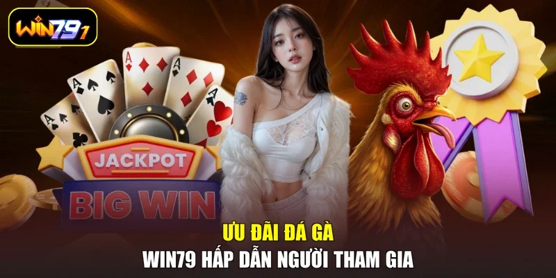Ưu đãi đá gà WIN79 hấp dẫn người tham gia